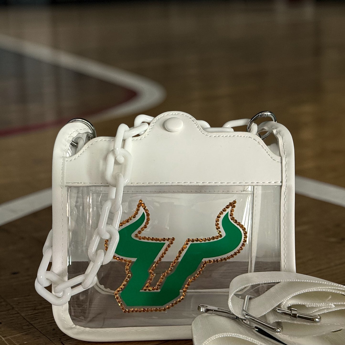 USF Game Day Bag